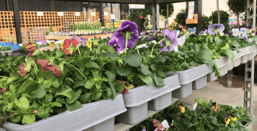 Recyclable-pots