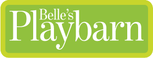 logo-playbarn