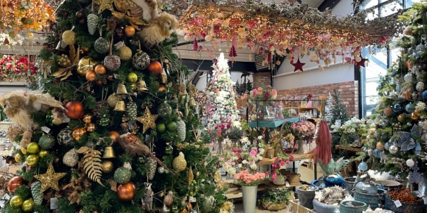 block_also-christmas