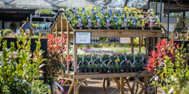 block_also-plants bell plantation garden centre plants