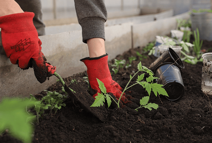 PlantThisMonth