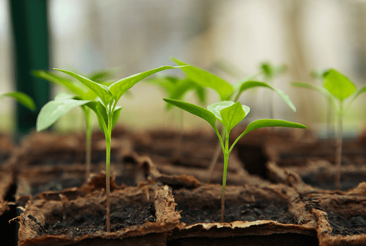 ReadySetGrow