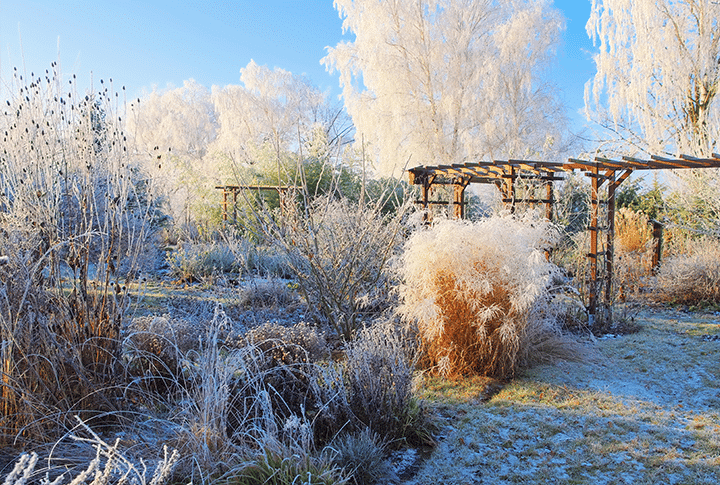 WinterGarden
